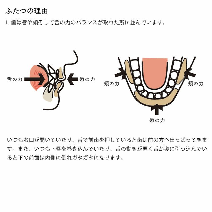 マッチーズハイチェア yamatoya（大和屋）_詳細10