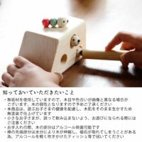 夢工房ももたろう木のおもちゃ むしハウ ひっつきむしシリーズ