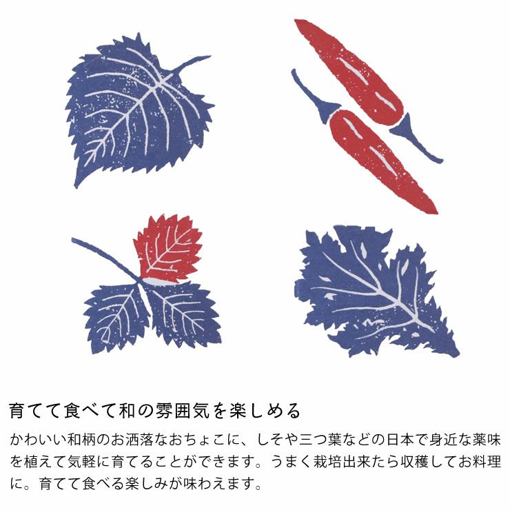 観葉植物 おちょこで薬味栽培セット 栽培キット オーナメント 置物 雑貨通販 家具の里