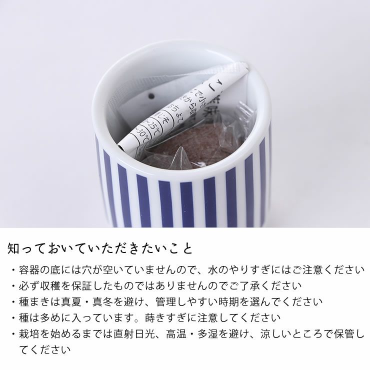 観葉植物 おちょこで薬味栽培セット 栽培キット オーナメント 置物 雑貨通販 家具の里 観葉植物 おちょこで薬味栽培セット 栽培キット オーナメント 置物 雑貨通販 家具の里