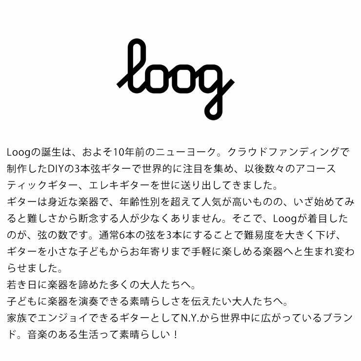 Loog（ルーグ）ギター　ルーグ・ミニ（アンプ内蔵型エレクトリック）エレキギター_詳細15