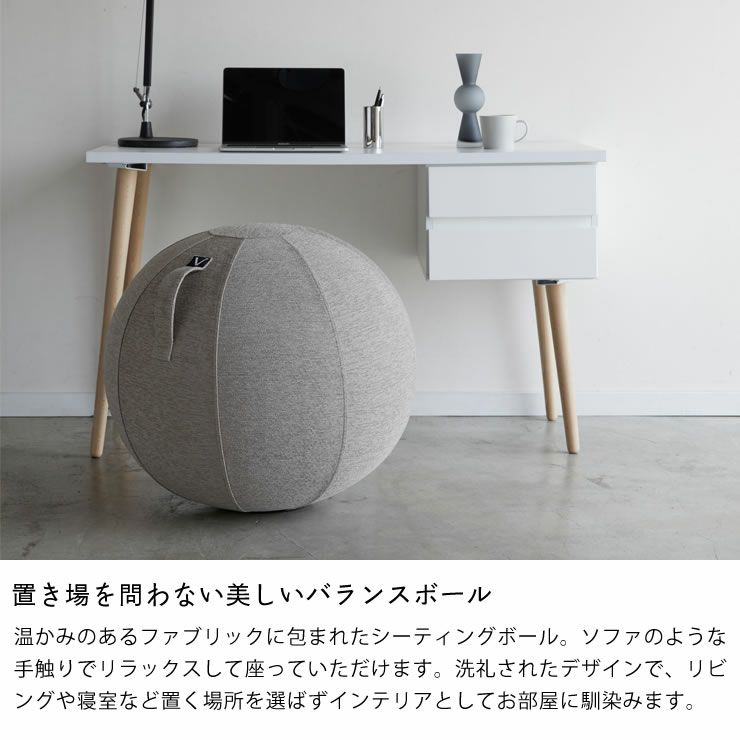 山崎実業 vivora（ビボラ）シーティングボール　ルーノ　シュニールシリーズ ファブリックカバーは置き場を問わない美しいバランスボールカバー