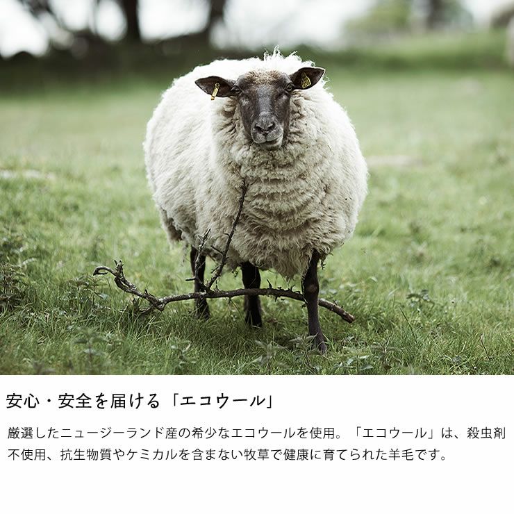 安心・安全を届ける「エコウール」を使用したブランケット