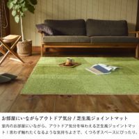 お部屋にいながらアウトドア気分！芝生風ジョイントマット
