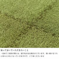 芝生風ジョイントマットについて知っておいていただきたいこと