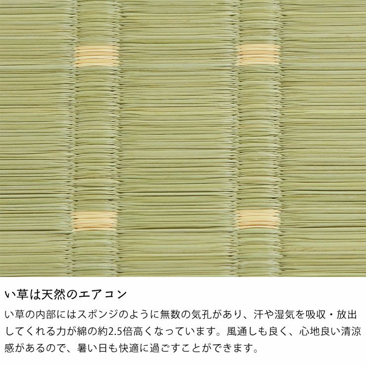 い草ラグ い草カーペット い草 ラグ マット日本の職人の技術が織りなす 国産い草花ござ江戸間2畳（174×174cm）_詳細07