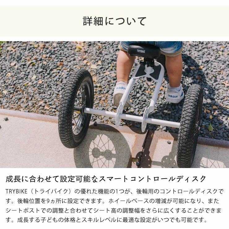 トライバイクの詳細について（コントロールディスク）