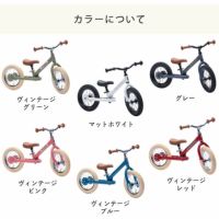 トライバイクのカラーについて