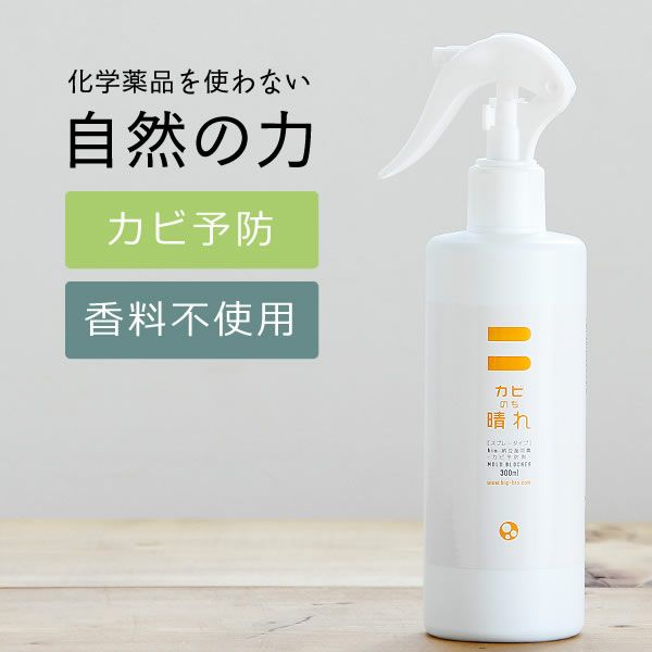 カビのち晴れ　スプレータイプ　300ml