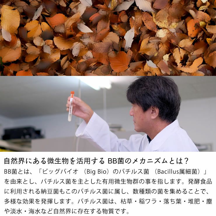 自然界にある微生物を活用する BB菌のメカニズムとは