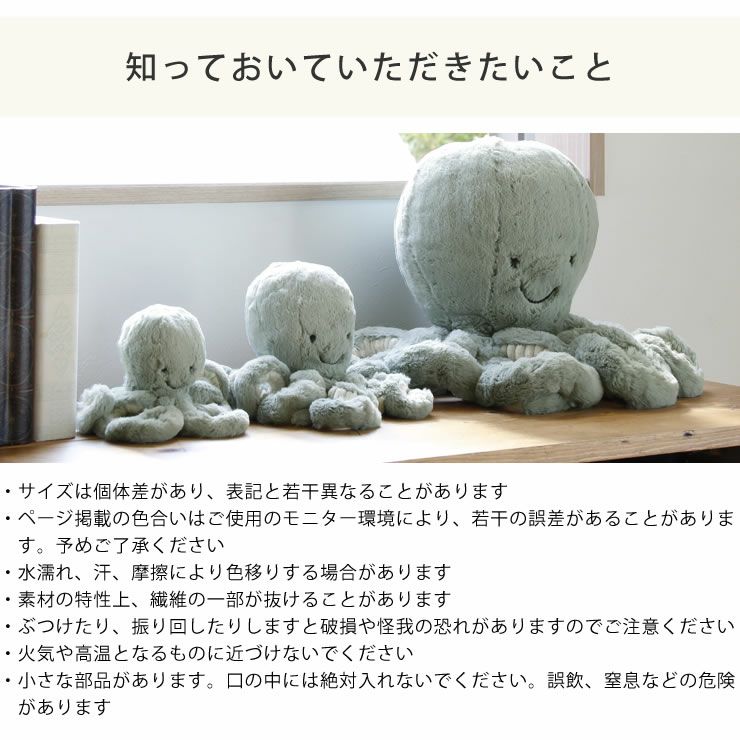ジェリーキャットぬいぐるみの知っておいていただきたいこと