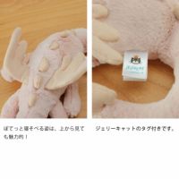 ジェリーキャットローズの子犬 JELLY CAT（ジェリーキャット） Rose Dragon Little （ローズ ドラゴン