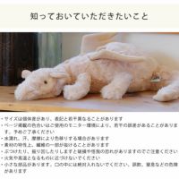 ローズドラゴン人形の知っておいていただきたいこと