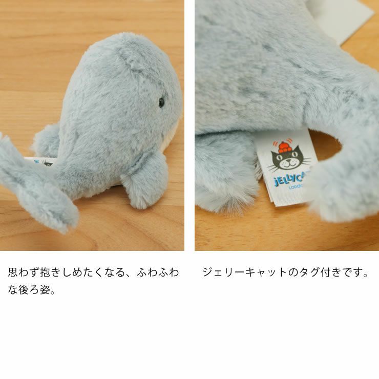 ジェリーキャットクジラの後ろ姿とタグ