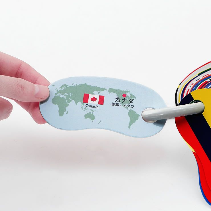 裏面にはおよその位置を示す世界地図や国名、正式な縦横比率の国旗など厳選した情報が書かれているリングカード・せかいじゅうの国旗のイメージ2