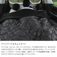 ファミリーにもちょうどいい魔法瓶毛布Lサイズ