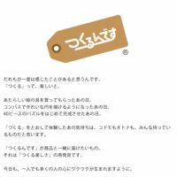 お部屋のインテリアとしても最適な、つくるんです　3Dウッドパズル