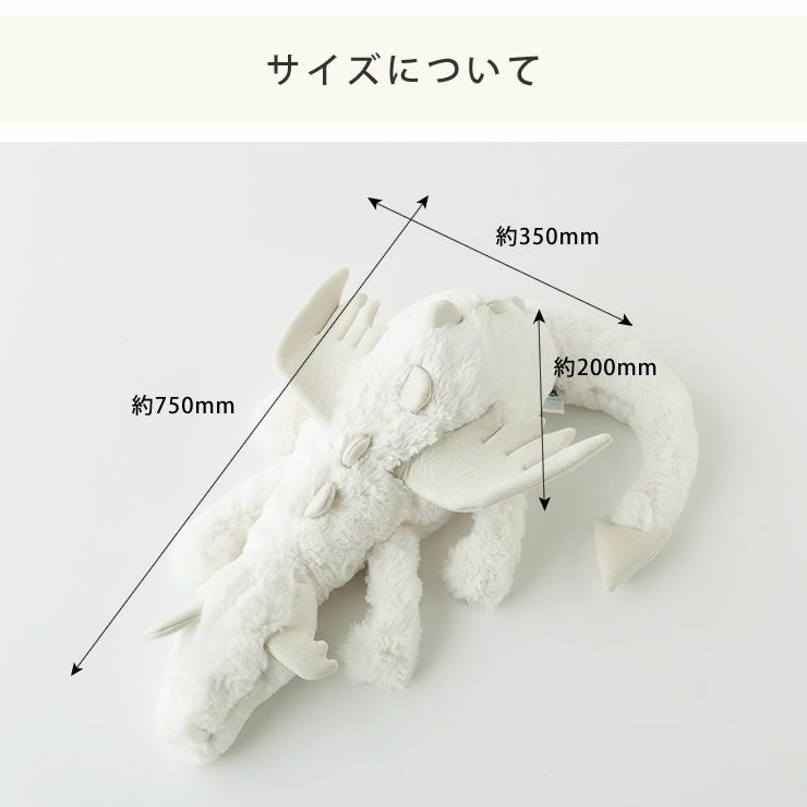 スノードラゴンヒュージのサイズについて