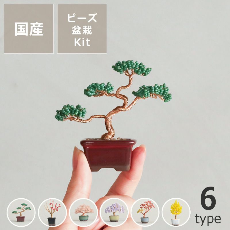 MIYUKI(ミユキ）ネジッテBONSAIキット