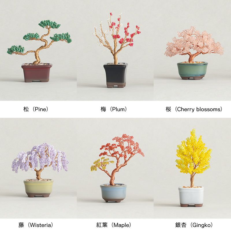 MIYUKI（ミユキ）のネジッテBONSAIキットの種類