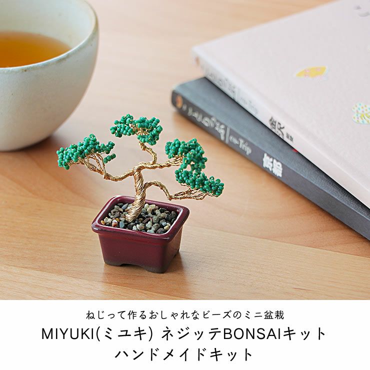 お部屋に可愛く飾れるMIYUKI（ミユキ）のネジッテBONSAIキット