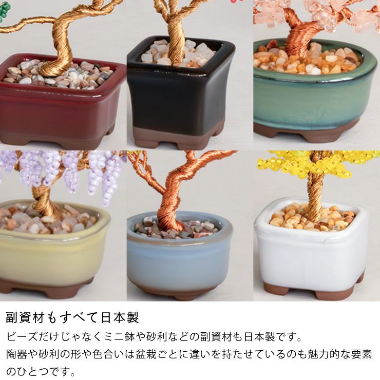 副資材もすべて日本製のMIYUKI（ミユキ）ネジッテBONSAIキット