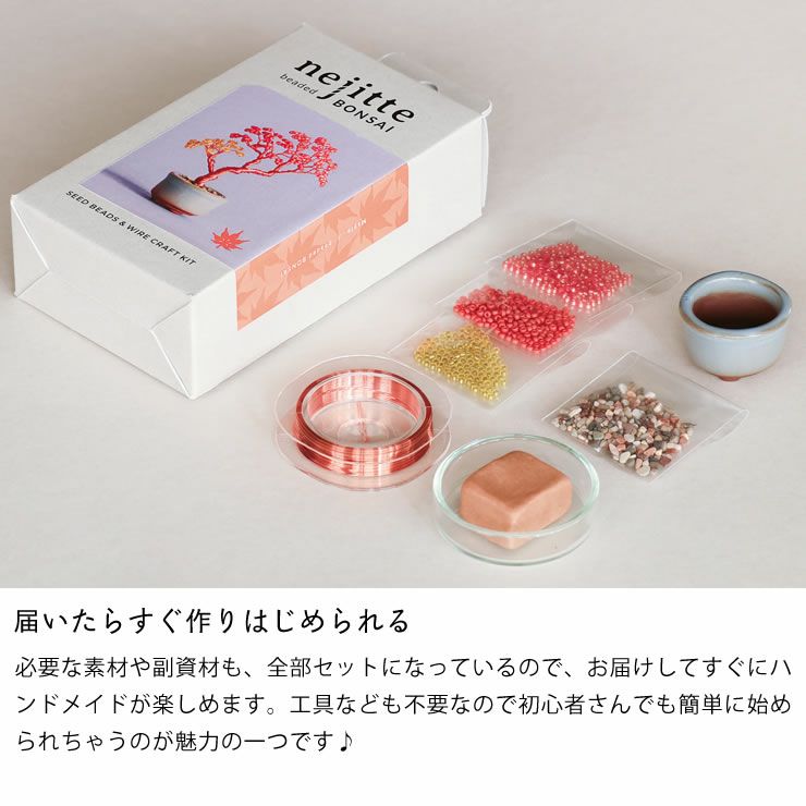 届いた瞬間からすぐに作れるMIYUKI（ミユキ）ネジッテBONSAIキット