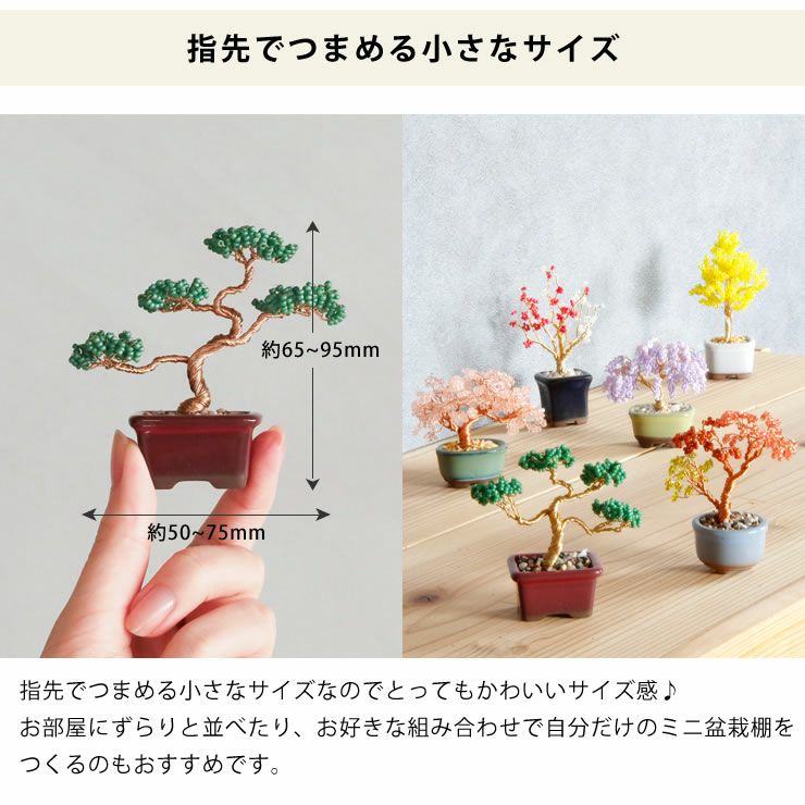 指先でつまめる小さなサイズで可愛いネジッテBONSAIキット