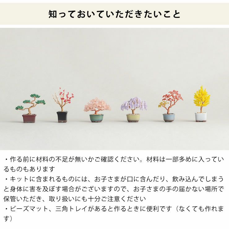 盆栽好きな方にお勧めなMIYUKI（ミユキ）ネジッテBONSAIキット