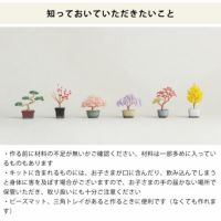盆栽好きな方にお勧めなMIYUKI（ミユキ）ネジッテBONSAIキット