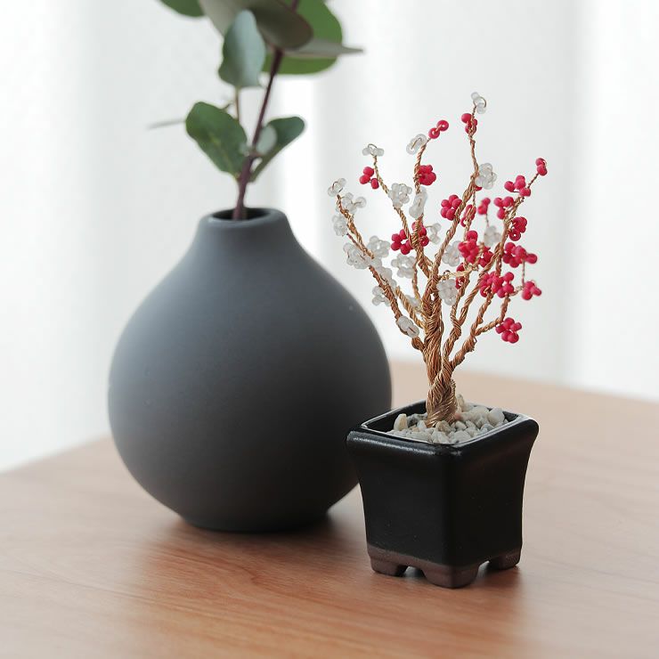 MIYUKI（ミユキ）のかわいらしいネジッテBONSAIキット