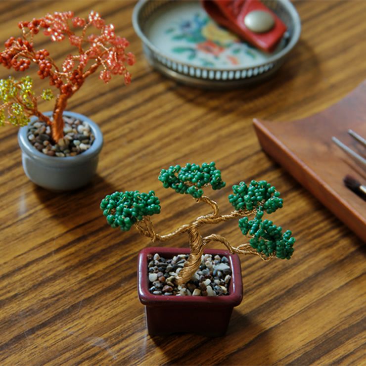 おしゃれなMIYUKI（ミユキ）ネジッテBONSAIキット