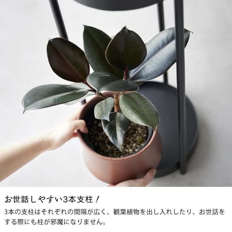 お世話がしやすいキャスター付きプランタースタンド