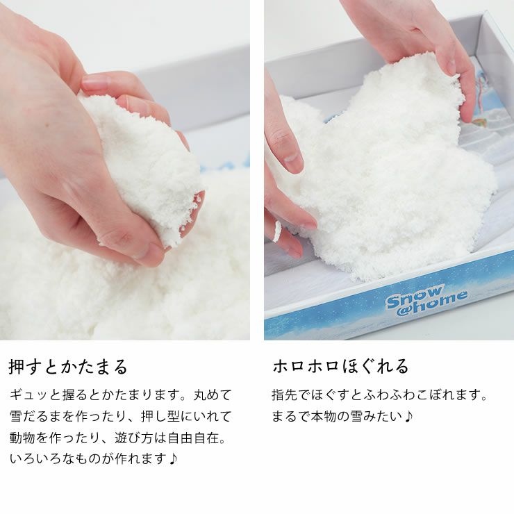 Snow@homeの遊び方