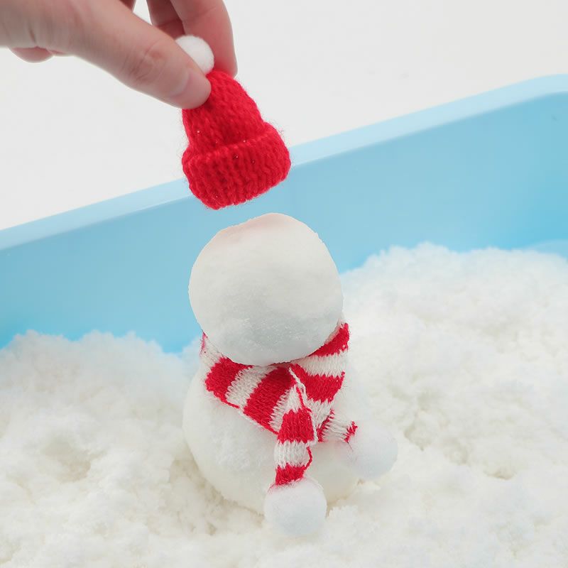 スノーアットホームで作った雪ダルマ