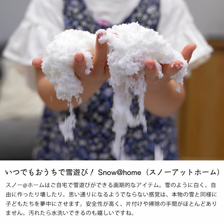 Snow@homeの遊び方