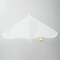 AOZORA（あおぞら）おえかきゲイラカイトの全体イメージ