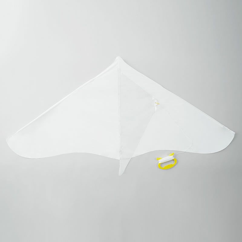 AOZORA（あおぞら）おえかきゲイラカイトの全体イメージ