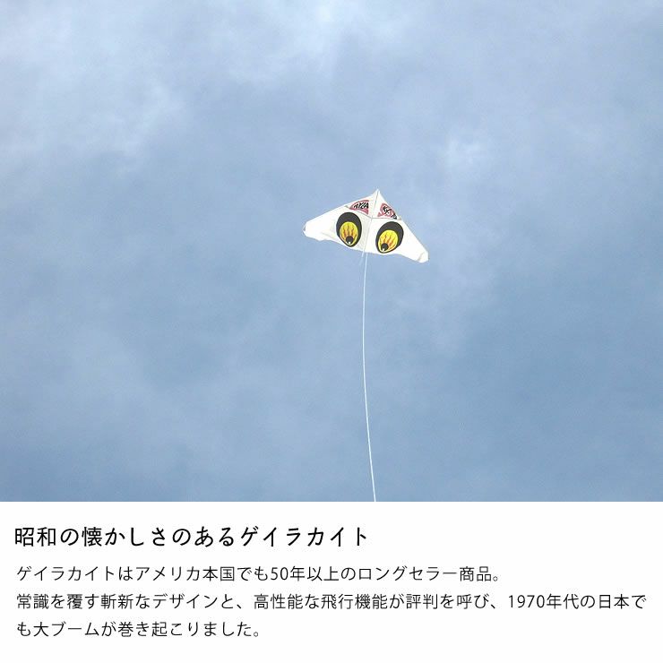 昭和の懐かしさのあるゲイラカイト