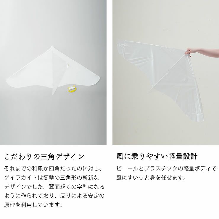 三角デザイン・軽量設計で高性能な飛行機能を持つゲイラカイト