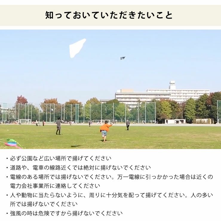 おえかきゲイラカイト（タコ）の知っておいていただきたいこと