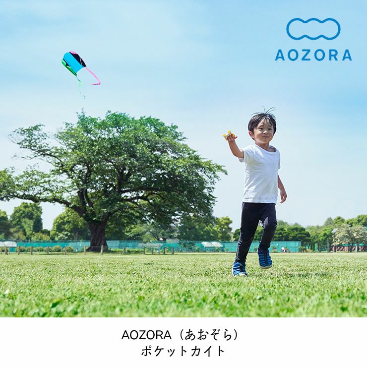 コンパクトに収納・携帯可能！風を感じる骨なしカイト