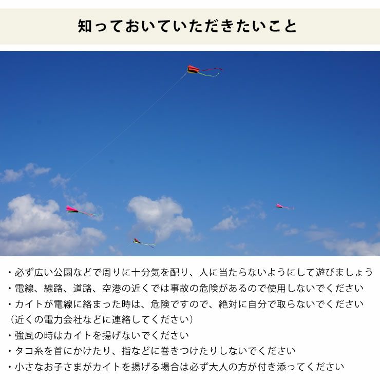 あおぞらポケットカイトの知っておいていただきたいこと