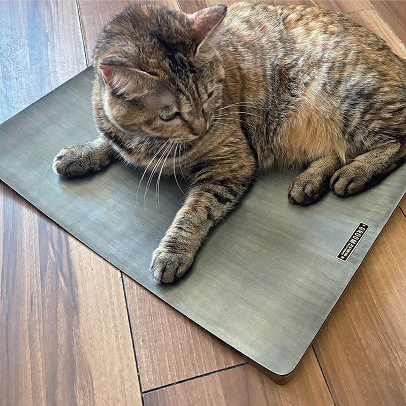 冷たくて気持ちいいペット用ベッド