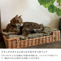 リラックスタイムにぴったりなラタンのベッド
