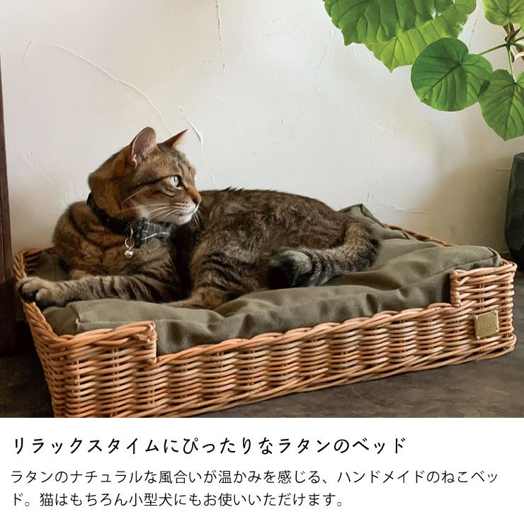リラックスタイムにぴったりなラタンのベッド