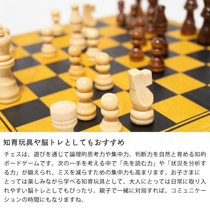 知育玩具や脳トレとしてもおすすめのチェスセット