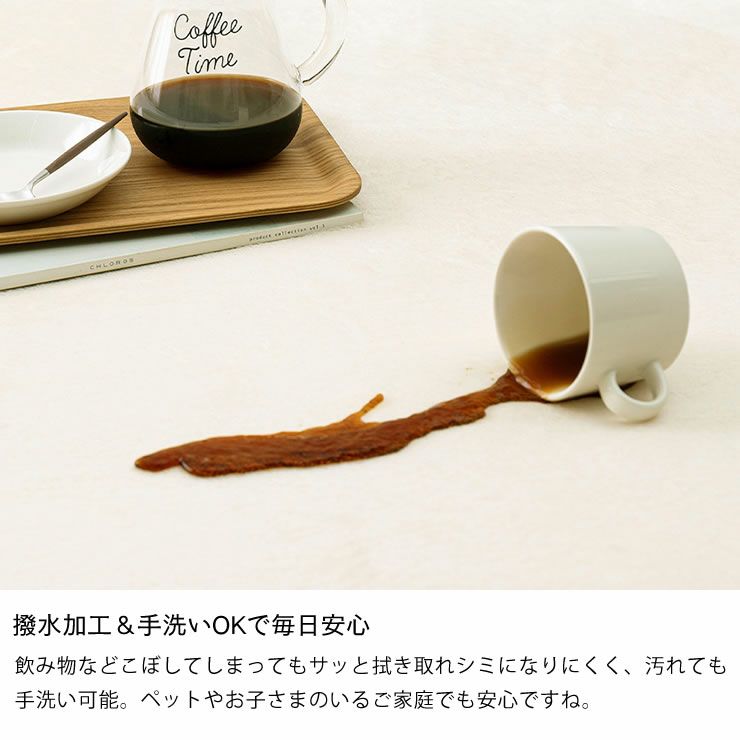 撥水加工＆手洗いOKなラグ