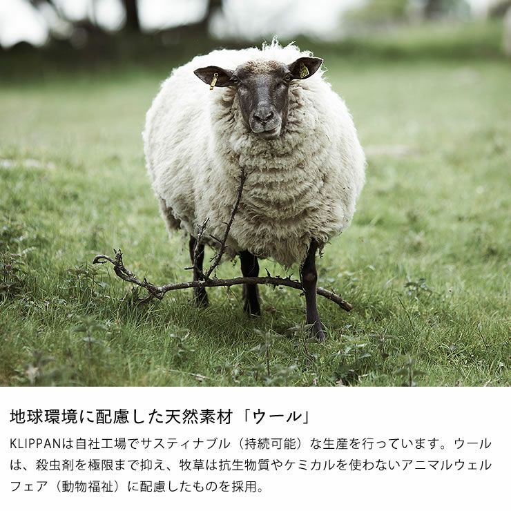 地球環境に配慮した天然素材ウールのブランケット