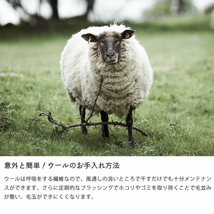 クリッパン ウールブランケットのお手入れ方法について